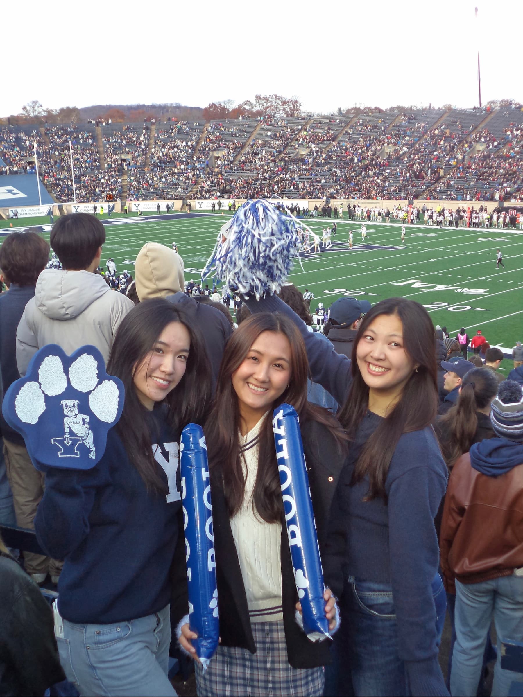 Yale >>>